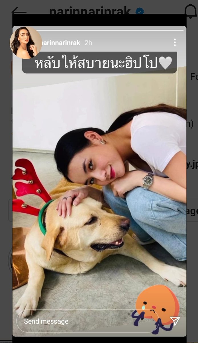 YeontanKim3012's tweet photo. หลับให้สบายนะฮิปโป https://t.co/cKiXjiPLfR