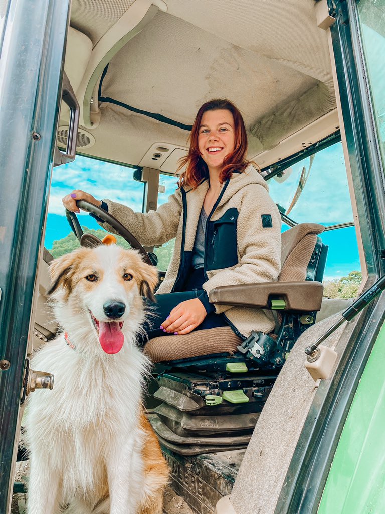 Just two best pals hanging out 🐾