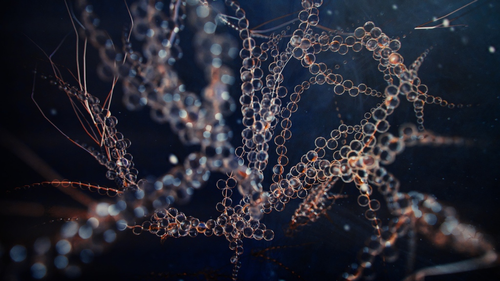 Hear what Nidia taught me about designing world class idents, the struggles of being an art director and why careers in design need more visibility.

tinyurl.com/2pyw2pjb

#d #design #styleframes #freelance