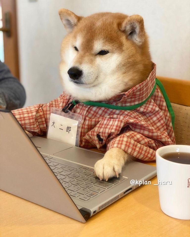 Image of this social media content