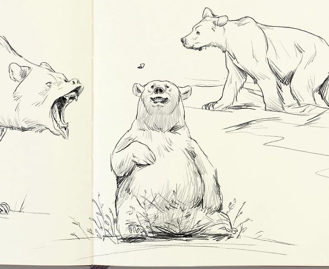 Does Twitter like bears? 