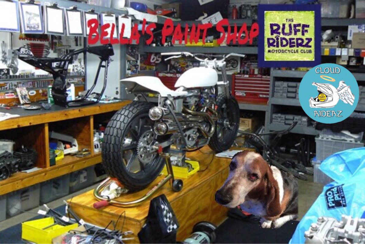 If you want to join <a href="/theruffriderz/">TheRuffRiderz</a> <a href="/LilRiderz2/">L’il Riderz</a> <a href="/CloudRiderz/">CloudRiderz</a> I need a picture of you sitting that I can use to make your bike. It’s that easy👍🏻.  Plus follow me and <a href="/theruffriderz/">TheRuffRiderz</a>