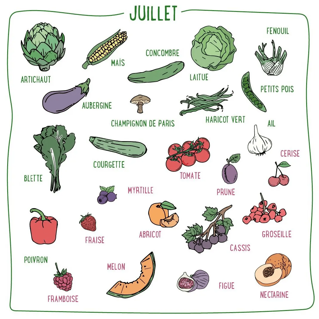 FraisLocal's tweet photo. Les fruits et légumes de saison de juillet par @WWF 

🍅🥒🍓💚 https://t.co/2zC4wGcQeT