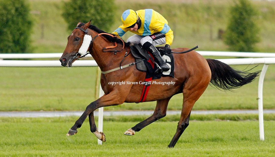 Steven_Cargill's tweet photo. 12th win for 10yo g CAIUS MARCIUS (King's Theatre) in 20.5f handicap hurdle @MarketRasenRace yesterday for @NGRichardsRace https://t.co/J2AKV9sD6h