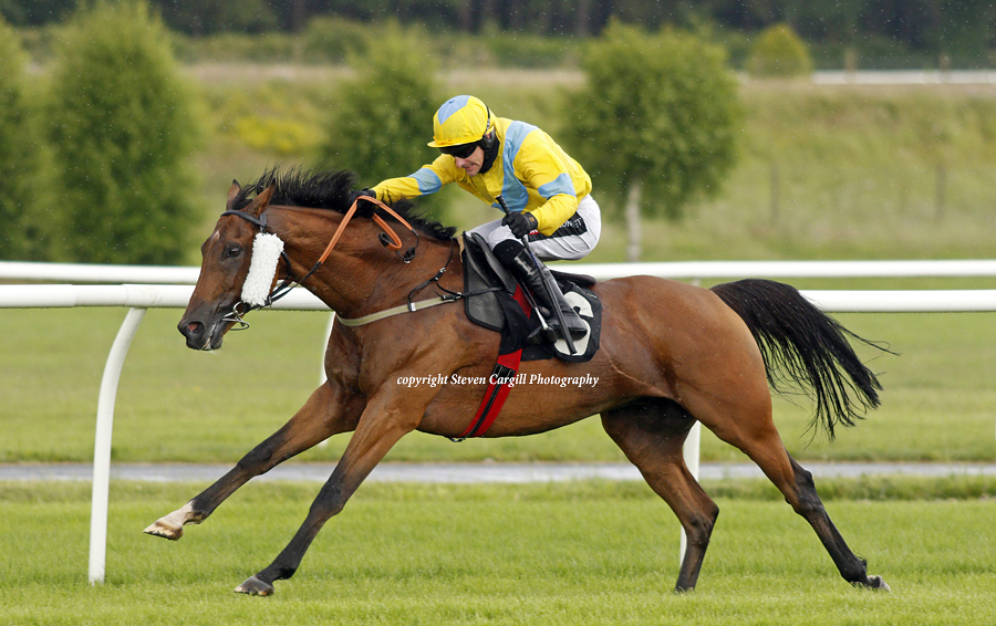 Steven_Cargill's tweet photo. 12th win for 10yo g CAIUS MARCIUS (King's Theatre) in 20.5f handicap hurdle @MarketRasenRace yesterday for @NGRichardsRace https://t.co/J2AKV9sD6h