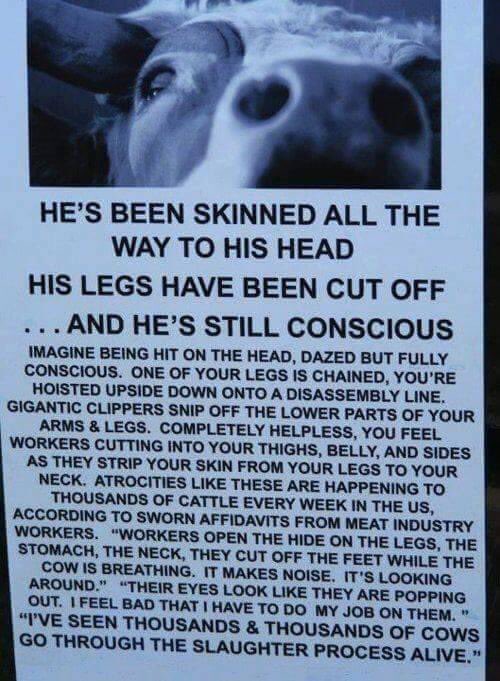 READ THIS 👇 and IMAGINE THIS IS YOU😭

#BeWise💚#BeVegan🌱