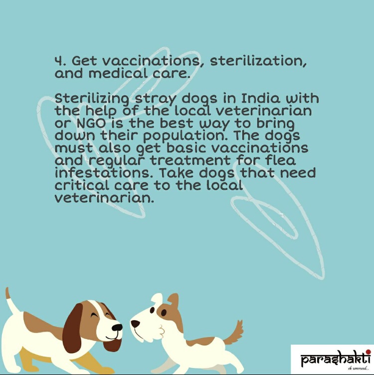 TeamParashakti's tweet photo. Our communication not know any common language but a wag is enough a gesture to make our hearts warm.Let's make their lives a bit easier by loving them a little more🌻
This friendship is fur-real!!

#adoptdontshop #streetdogs  #straydogs #bekindtoanimals #rip #stray #StrayKids https://t.co/aEcGLVPjIF