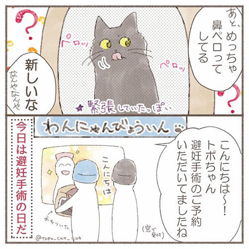 ついに来た、愛猫の避妊手術の日--「がんばるんやで!!!」 初めての手術・離ればなれを描いたレポート漫画に勇気付けられる https://t.co/CJb2UMEUAg @itm_nlabより 