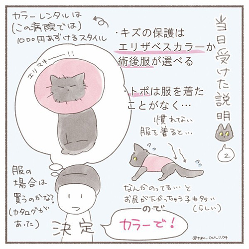 ついに来た、愛猫の避妊手術の日--「がんばるんやで!!!」 初めての手術・離ればなれを描いたレポート漫画に勇気付けられる https://t.co/CJb2UMEUAg @itm_nlabより 