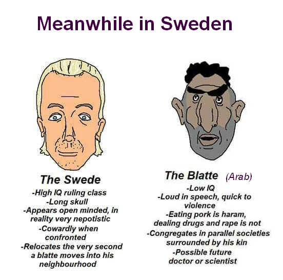 Saxophone_Harri's tweet photo. #Blatte #Sverige #MeanwhileInSweden https://t.co/CF5Qs88PF6