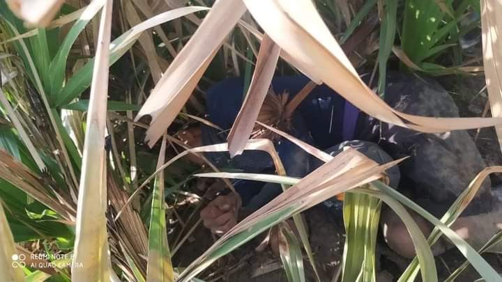 Villagers in Depayin who fled attack by armed military were cleared by junta's troops who set up camp in Kyi Village on July 5 to return to Depayin
Coup under 44th Division attacked villages in Depayin &amp; killed nearly 30 people with heavy weapon
#DepayinMassacre
tw // death https