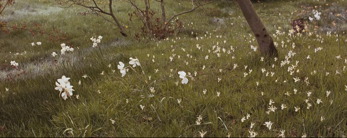 lecinema_'s tweet image. Flowers in Howards End (James Ivory, 1992)