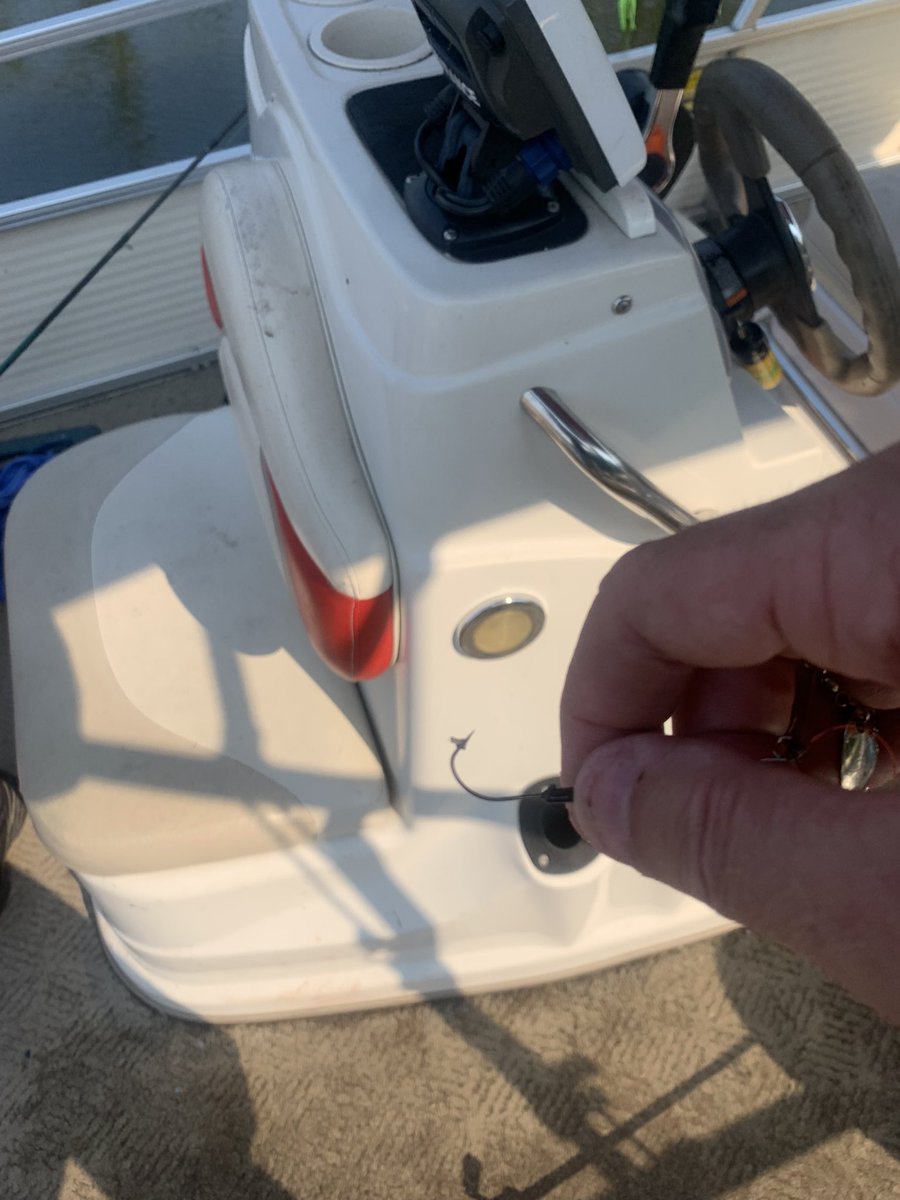 dln22's tweet photo. I was determined to catch a Northern Pike this year. #FishMichigan 33 1/2 inches https://t.co/yaAqHBO7fb