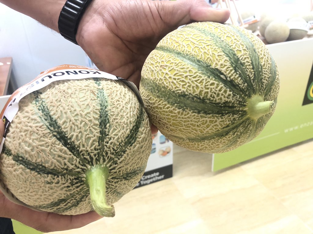 fruittoday's tweet photo. 🍈 @enzazaden ofrece continuidad y consistencia los 365 días. Nos lo han contado en su #MelonHouseFair Léelo todo aquí:  
https://t.co/LtQ9gc7Yss
@giuGiulena @ExperienciasEZ https://t.co/GEo3MMsWnl