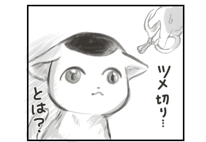 #挨拶365
#7月もねこねこマンガ 5/30

猫のまめもち
爪…切り…?
それはどちらの世界線の概念ですか?

今日もおつカレー🍛様です。 