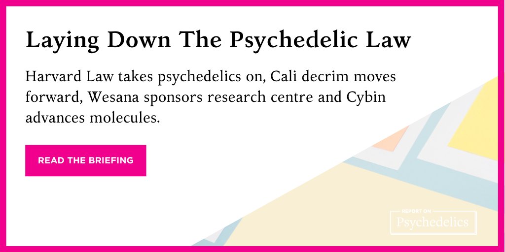 ReponPsych's tweet image. All of the psychedelic news you need this week, explained in The Briefing: reportonpsychedelics.com/laying-down-th…