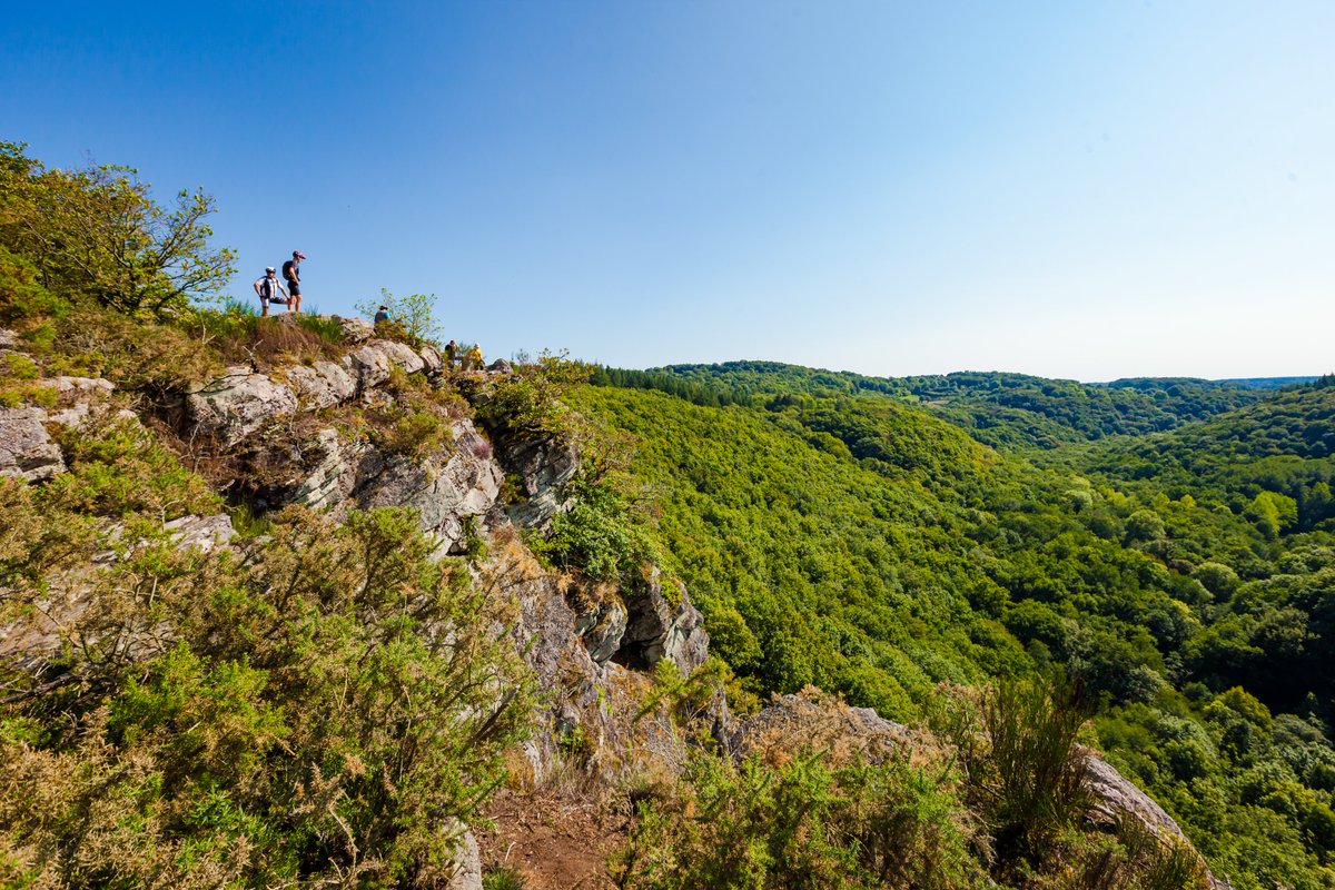 Sabina - Anibas Photography 📷 tweet media