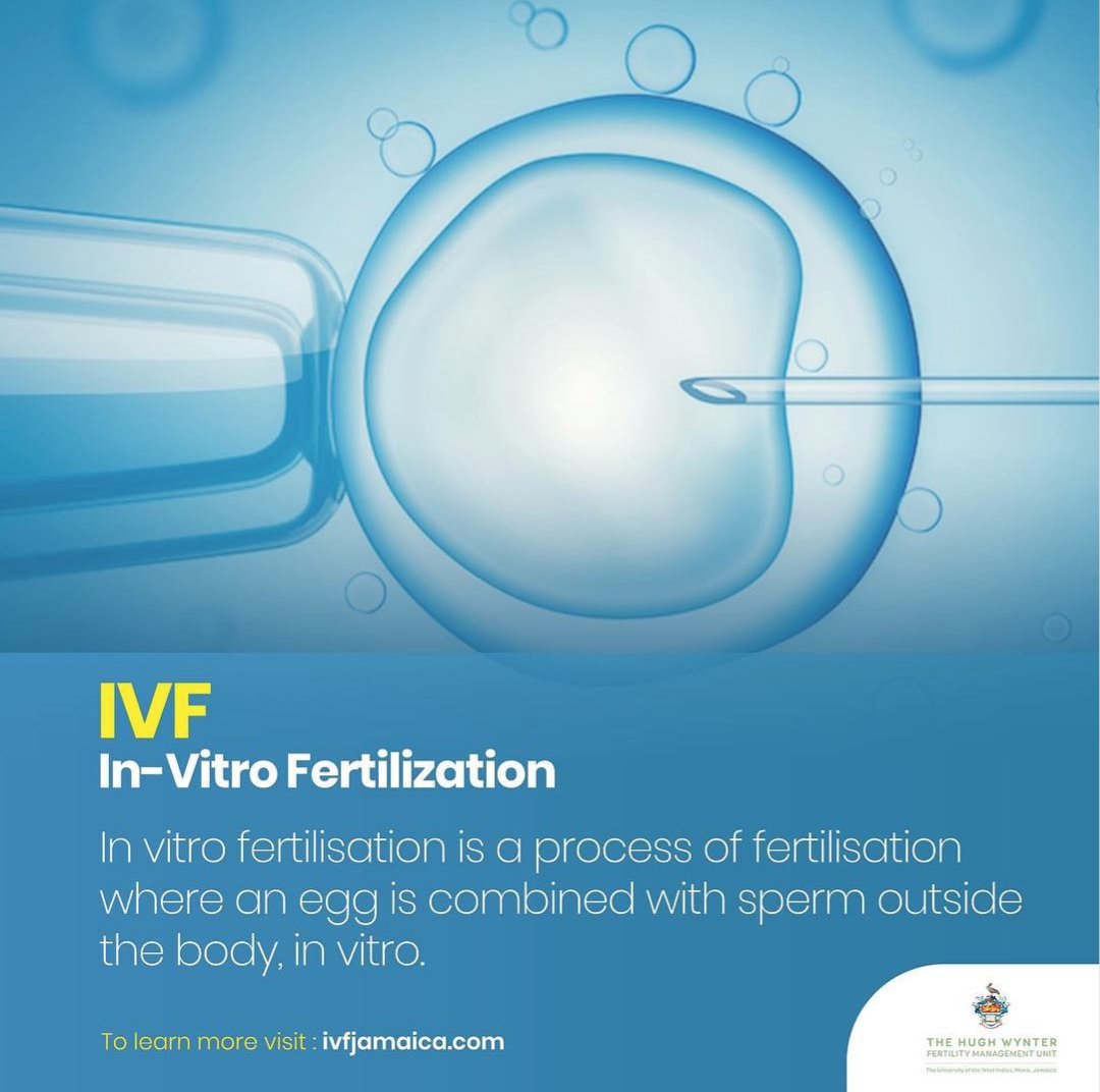 hwfertility's tweet photo. #OurServices We’re here to educate you on what we do! We provide IVF (In-Vitro Fertilization) - find out more information at https://t.co/UmYz7nNSqg

 #HughWynterFertility #HWFMU #IVFJamaica #fertility #ivf #baby #family https://t.co/EQmXdhKG7d