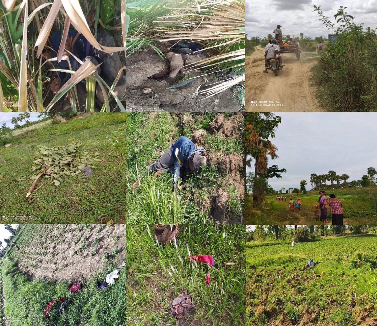 Yaellie2's tweet photo. Junta brutally killed 26 PDF members using heavy lethal weapons in Depayin Tsp&amp;over 50 got severely injured. Junta massacre in Depayin is beyond inhumanity. Villagers have to flee away to avoid massacre.
#DepayinMassacre
#July5Coup
#WhatsHappeningInMyanmar https://t.co/gQ3rwefZN7