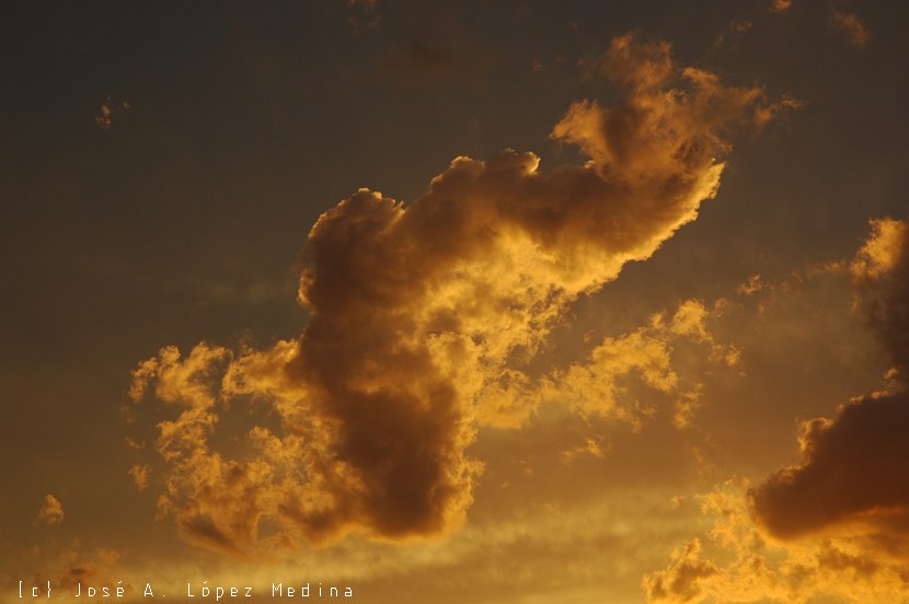 Jota__Pex's tweet photo. Las #nubes actúan a modo de limpiadoras de la atmósfera gracias a los radicales #hidroxilo que portan.

Os contamos más detalles en nuestro blog: https://t.co/1Hgj9DQPDH https://t.co/DTDyOnALpO