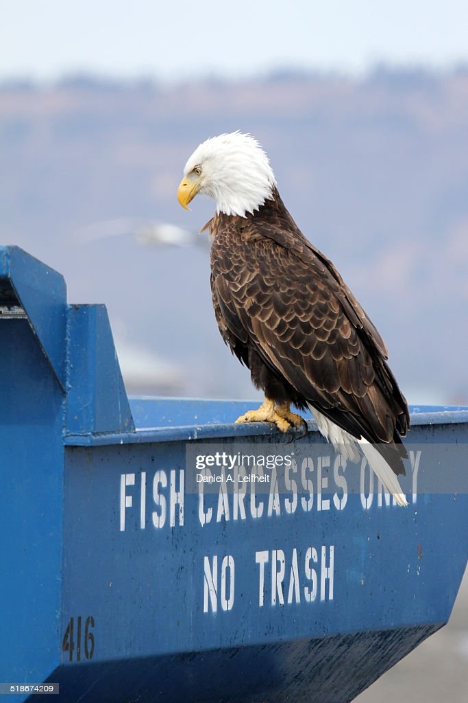 attnstarcommand's tweet image. hope everyone had a good independence day