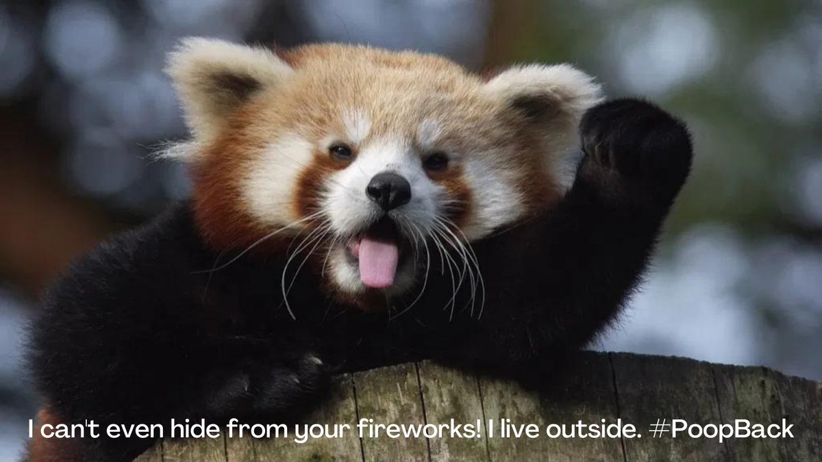 holidarity's tweet image. #PoopBack