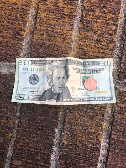 Karyn Adams tweet media