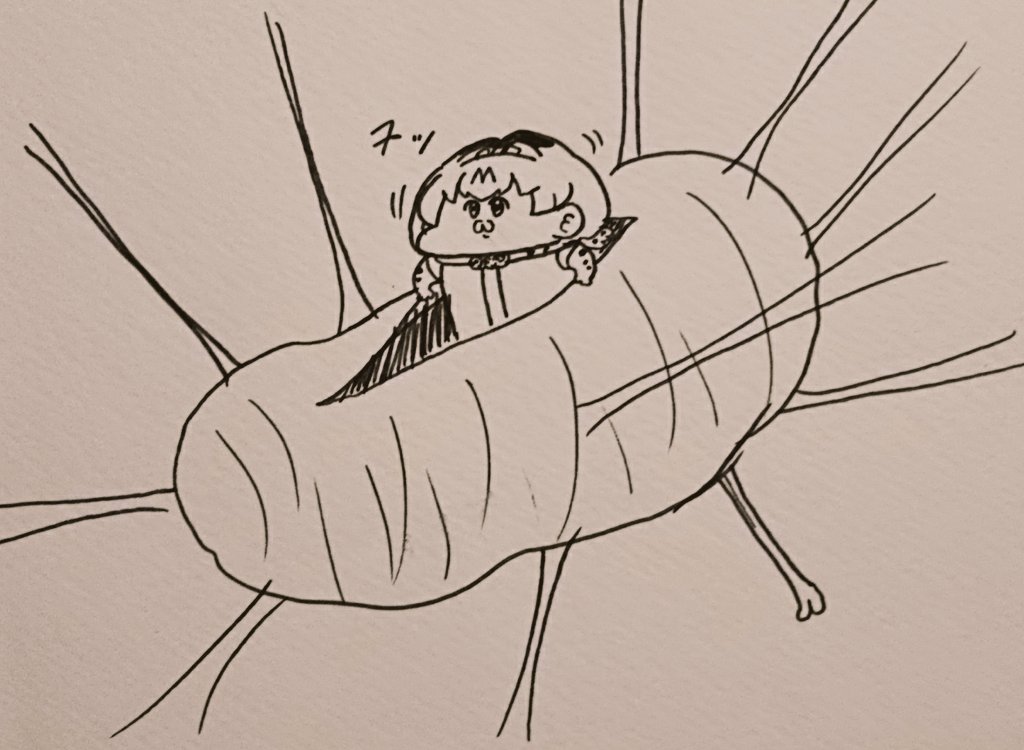 繭から出てくる 