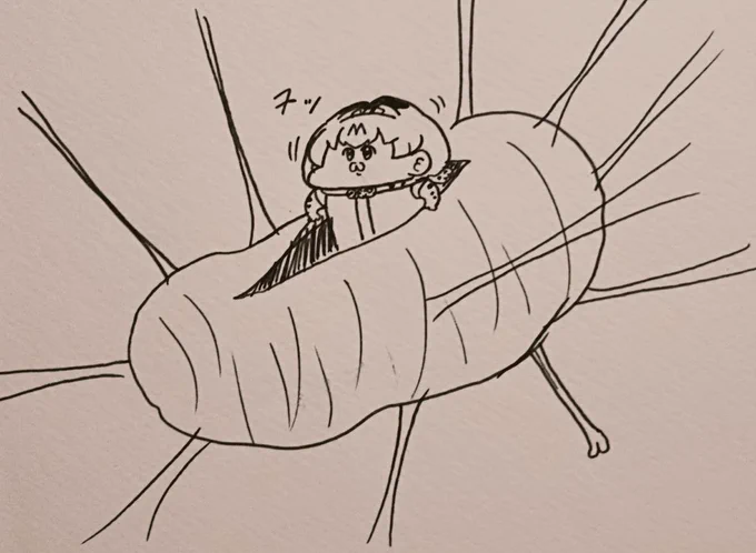 繭から出てくる 