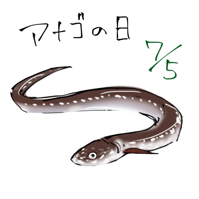穴子のtwitterイラスト検索結果 穴子のtwitterイラスト検索結果