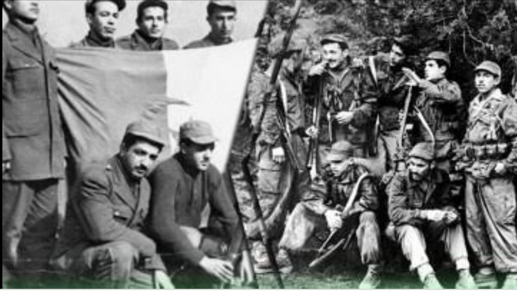 كل عام و بلادي بالف خير و سلام 🇩🇿 #تحيا_الجزائر  #عيد_الإستقلال_59