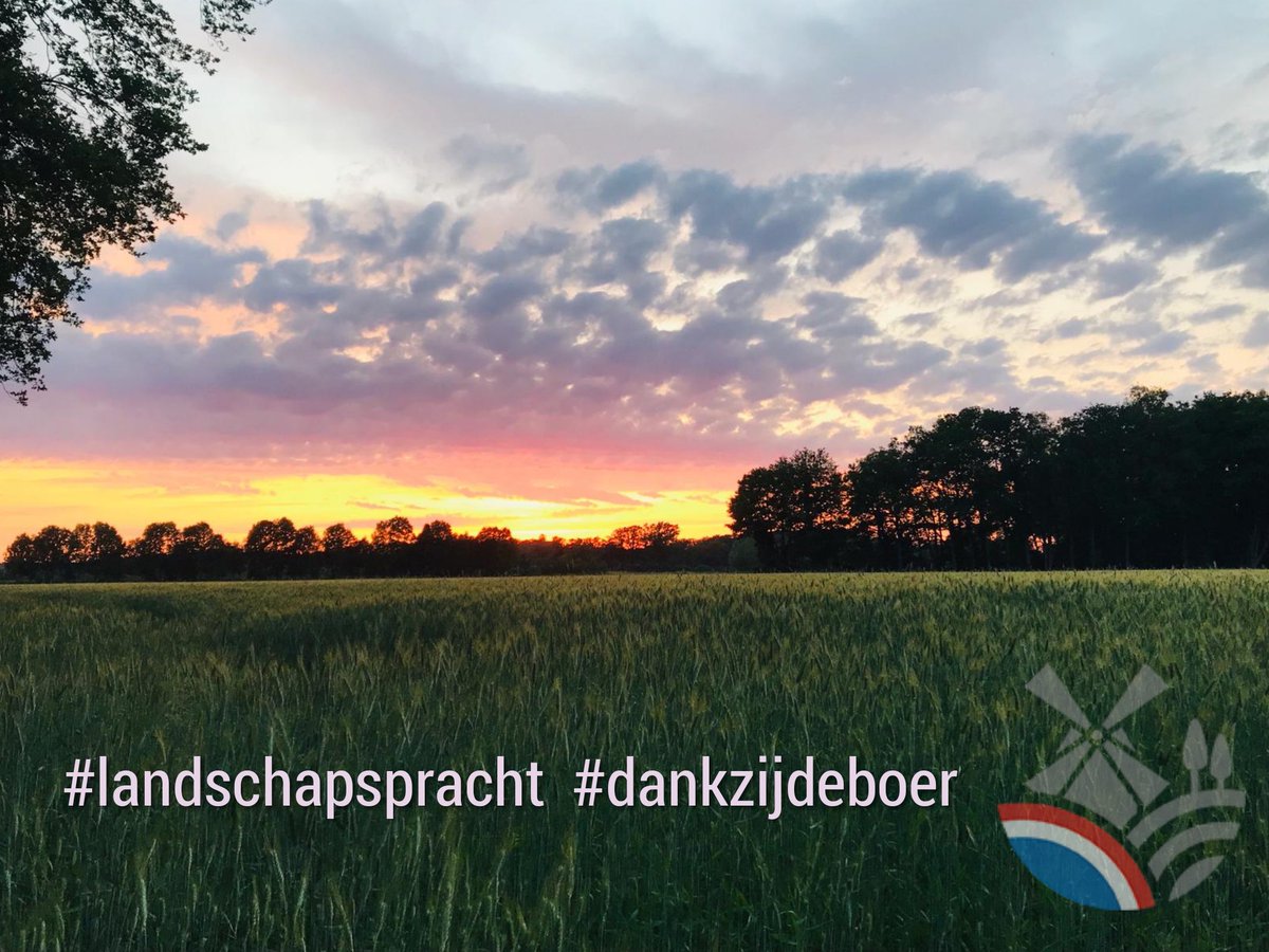 teamagronl's tweet photo. Boer en tuinder zorgen voor ons eten, een leefbaar platteland, onderhouden het landschap en zijn ondernemers in een innovatieve sector! 

 #dankzijdeboer 💚👩‍🌾👨‍🌾 https://t.co/Flt7NjCuhe