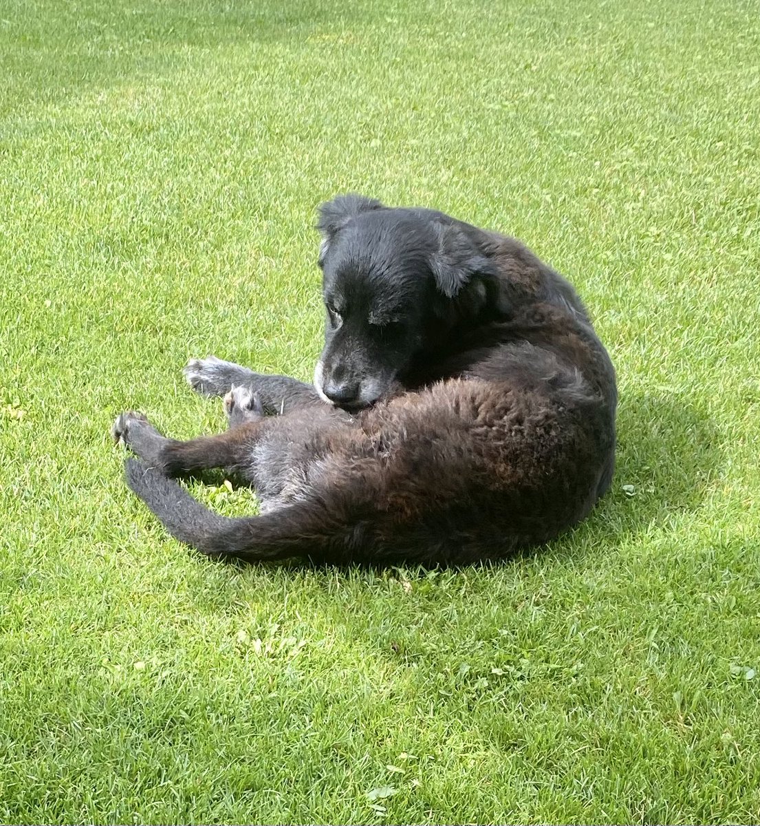 Sitze bei Sonnenschein und + 27 Grad im Garten und genieße die Ruhe #OeNR #OeBH #GEBÖS # einfach herrlich!