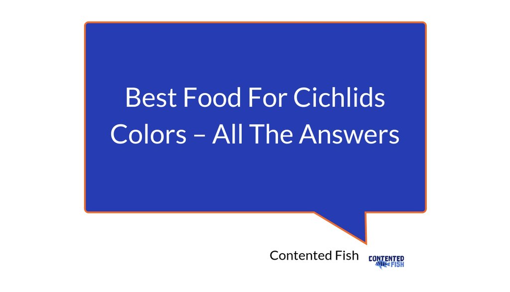 ContentedFish tweet picture