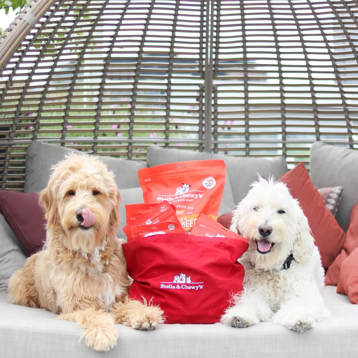 cherry brook pet supply