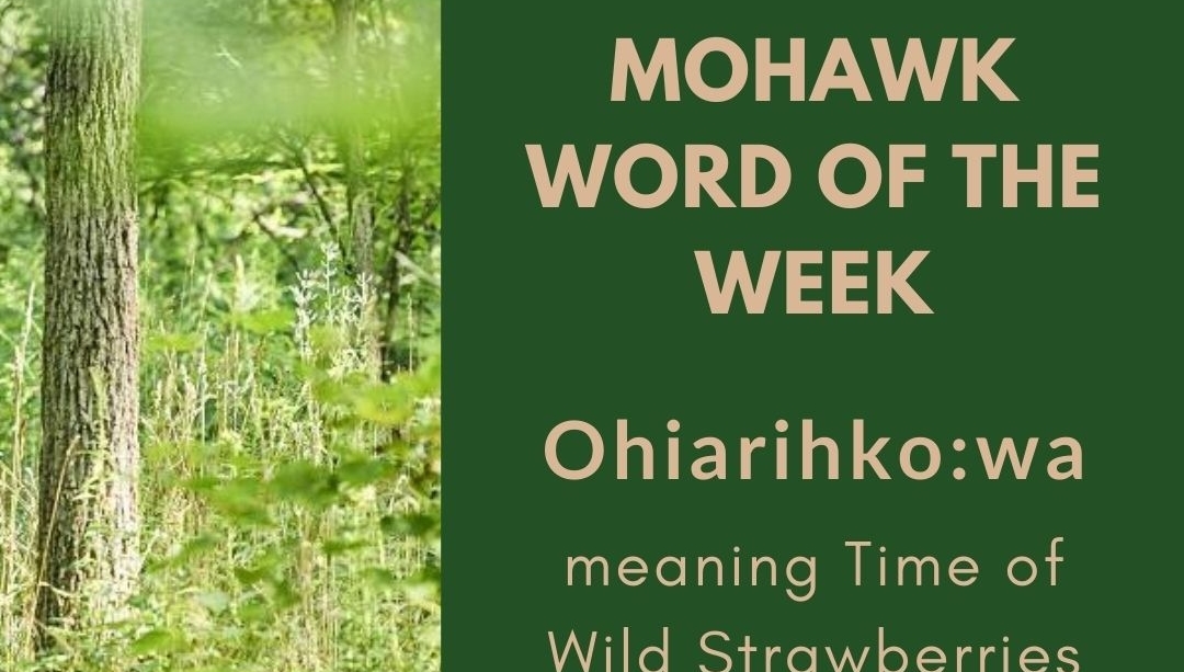 chiefswood's tweet image. The #MohawkWordOfTheWeek is Ohiarihko:wa. This is the word used for July in the Mohawk language. Ohiarihko:wa means Time of Wild Strawberries to Ripen Greatly. 

#ChiefswoodNHS #WhereCulturesMeet #MohawkLanguage #Mohawk #Haudenosaunee #IndigenousLanguage #Indigenous