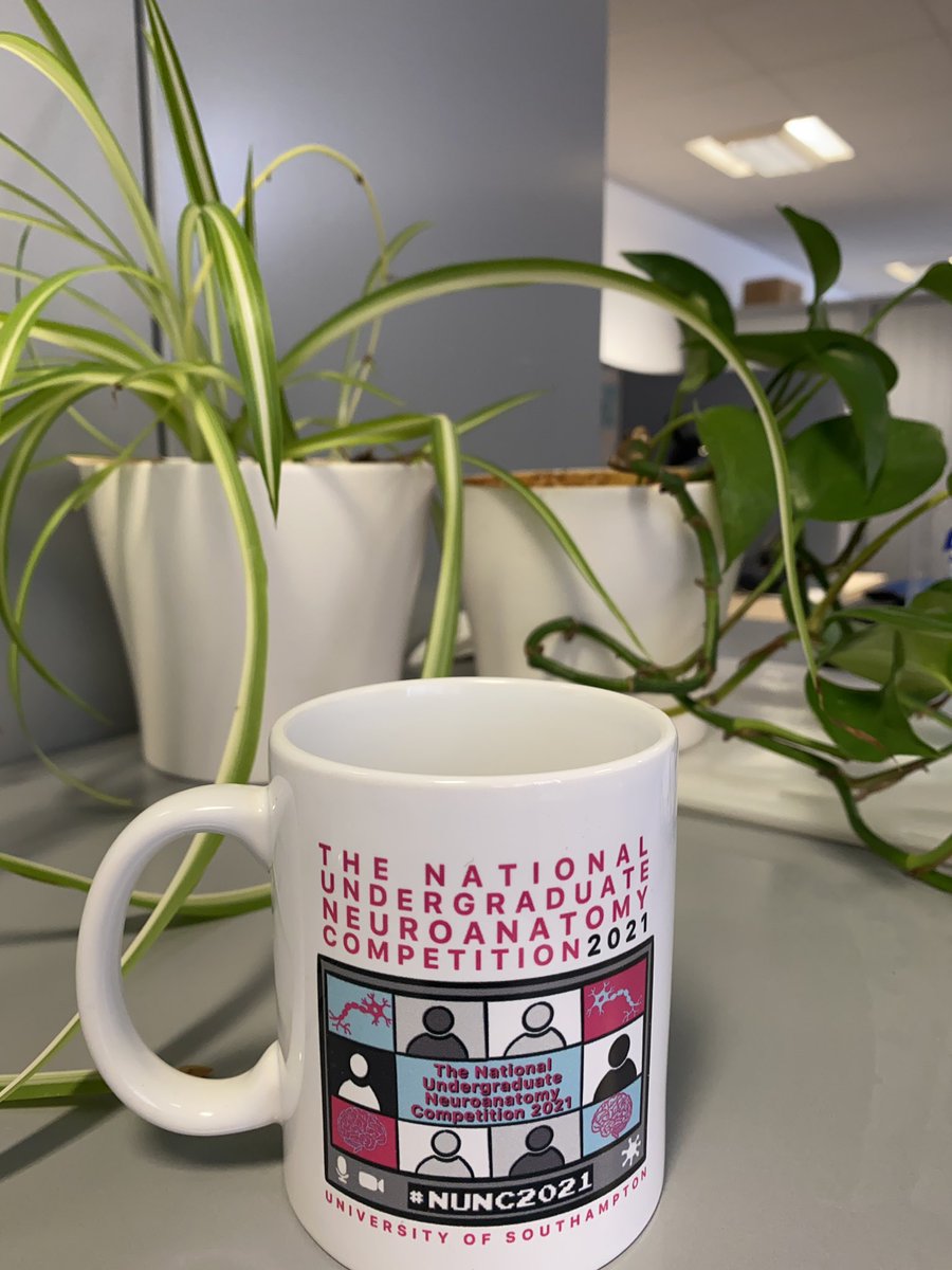 Two mugs with their mugs. Remember to get your tickets for #NUNC2021 now, only 5 days to go!💥 natneurocomp.co.uk <a href="/ScottBorder1/">Scott Border</a> <a href="/UoS_Medicine/">Southampton Medicine</a> @UoS_CHEP @MeinAcademy <a href="/NatNeuroComp/">NatNeuroComp</a> <a href="/JamessWoodward/">James Woodward</a>