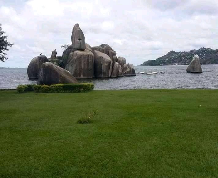 MichaelEmmanuel's tweet photo. Kitambulisho cheti hicho kama hujui kitu kuhusu hilo eneo niulize ntakujib ila matusi hapana https://t.co/E7gUWJk0xy
