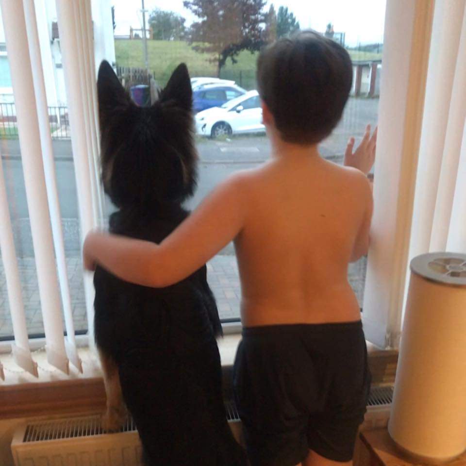 RoseannAirens's tweet photo. @PDSA_HQ I have a very similar photo of my wee one and pup 🐶❤🐾 #FriendshipGoals #PDSAPets https://t.co/dJIiCpnfed