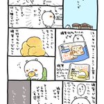 ここがうわさに聞くシャトレーゼ!ダブルシュー口コミ‼