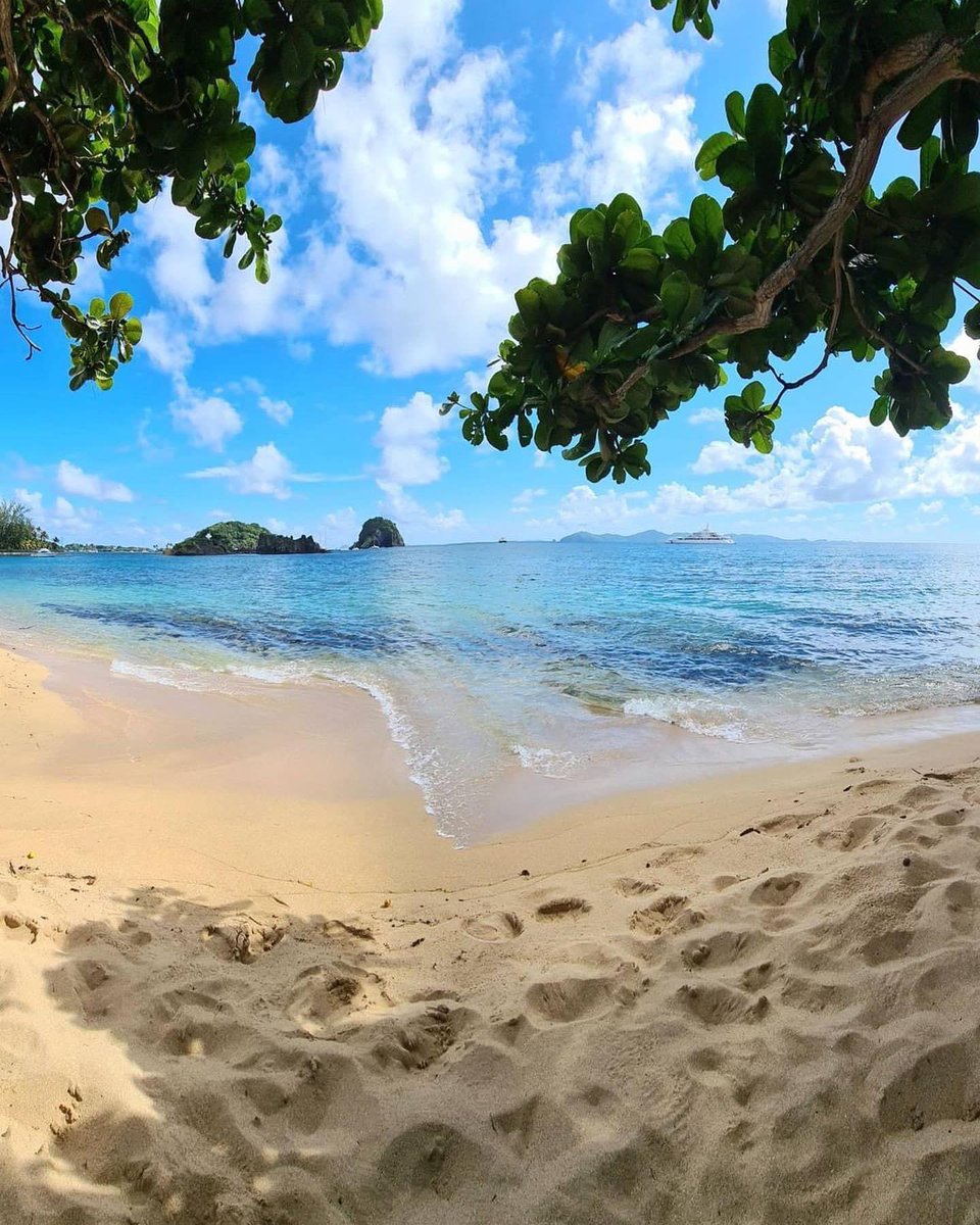 VisitSVG's tweet photo. Some beach days are better than others
📍: Indian bay beach
📷: IG: get.crqwned https://t.co/bRG8SPPj5z