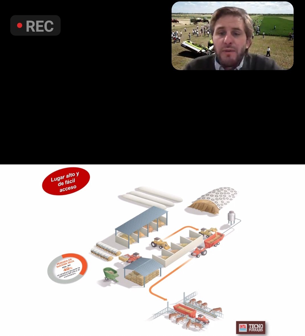 Cauda Semillas tweet media