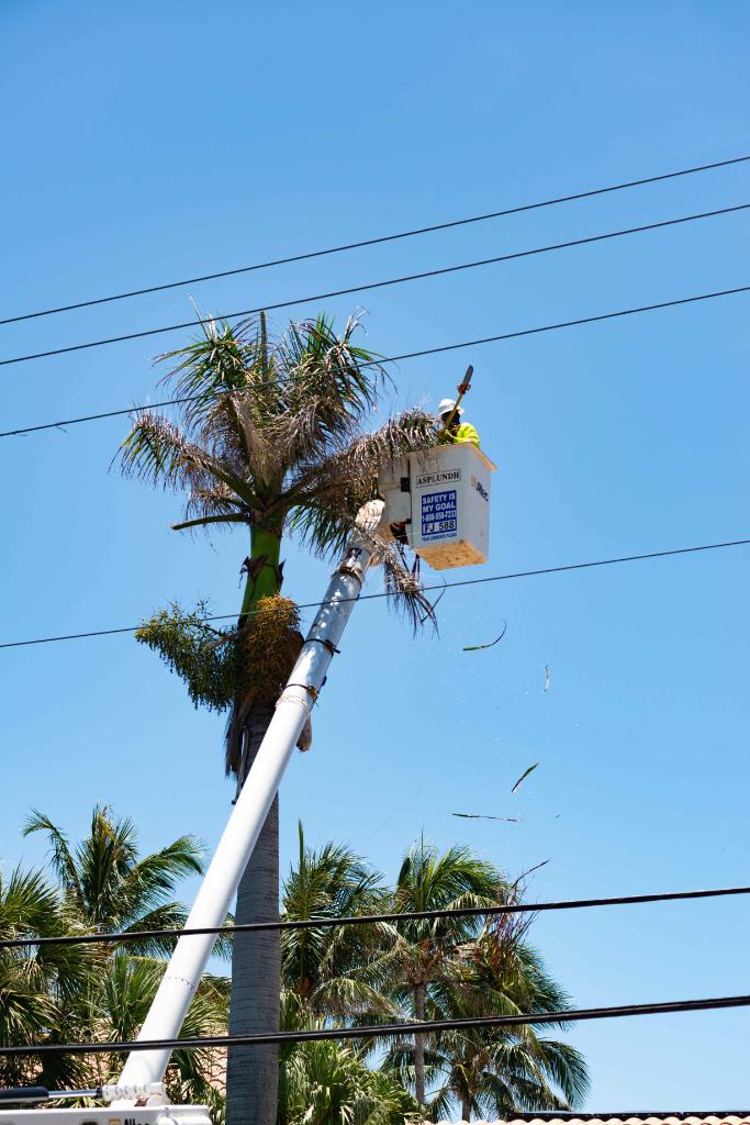 Florida Power & Light tweet media