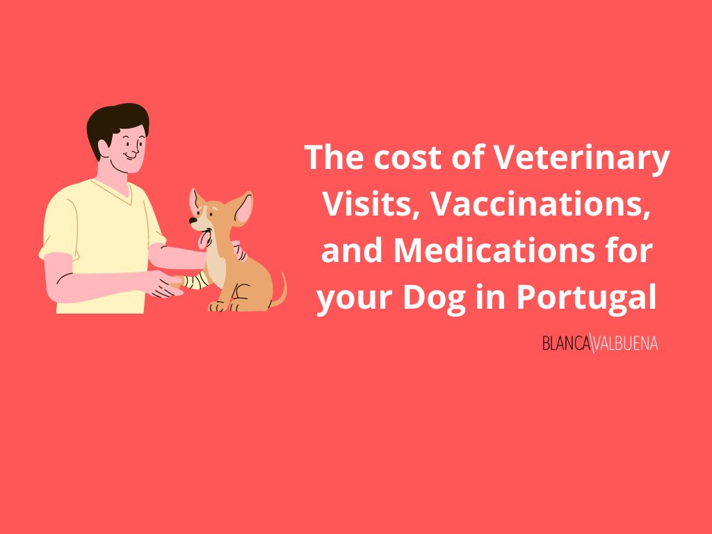 A list of average dog vet visits, exams, and medicines in Portugal. #https://blancavalbuena.com/vet-fees-dog-medicine-cost-in-portugal/