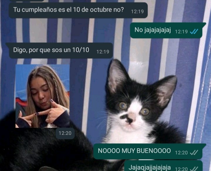 luli_zg's tweet photo. Clap clap jajajajajaja https://t.co/19dX7SdwDQ