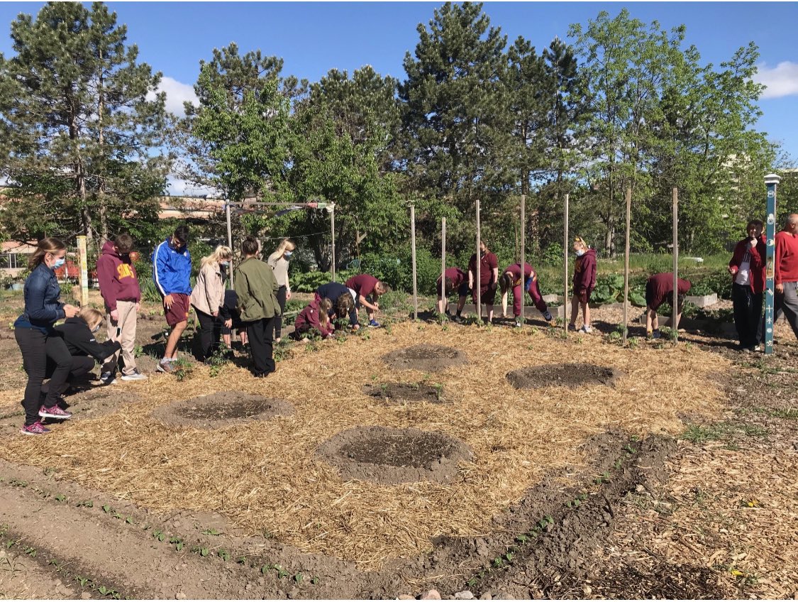 StPeterCSS's tweet image. Outdoor learning spaces and supporting our community garden.  @PVNCCDSB #PVNCLearns #PVNCServes #PVNCLeads