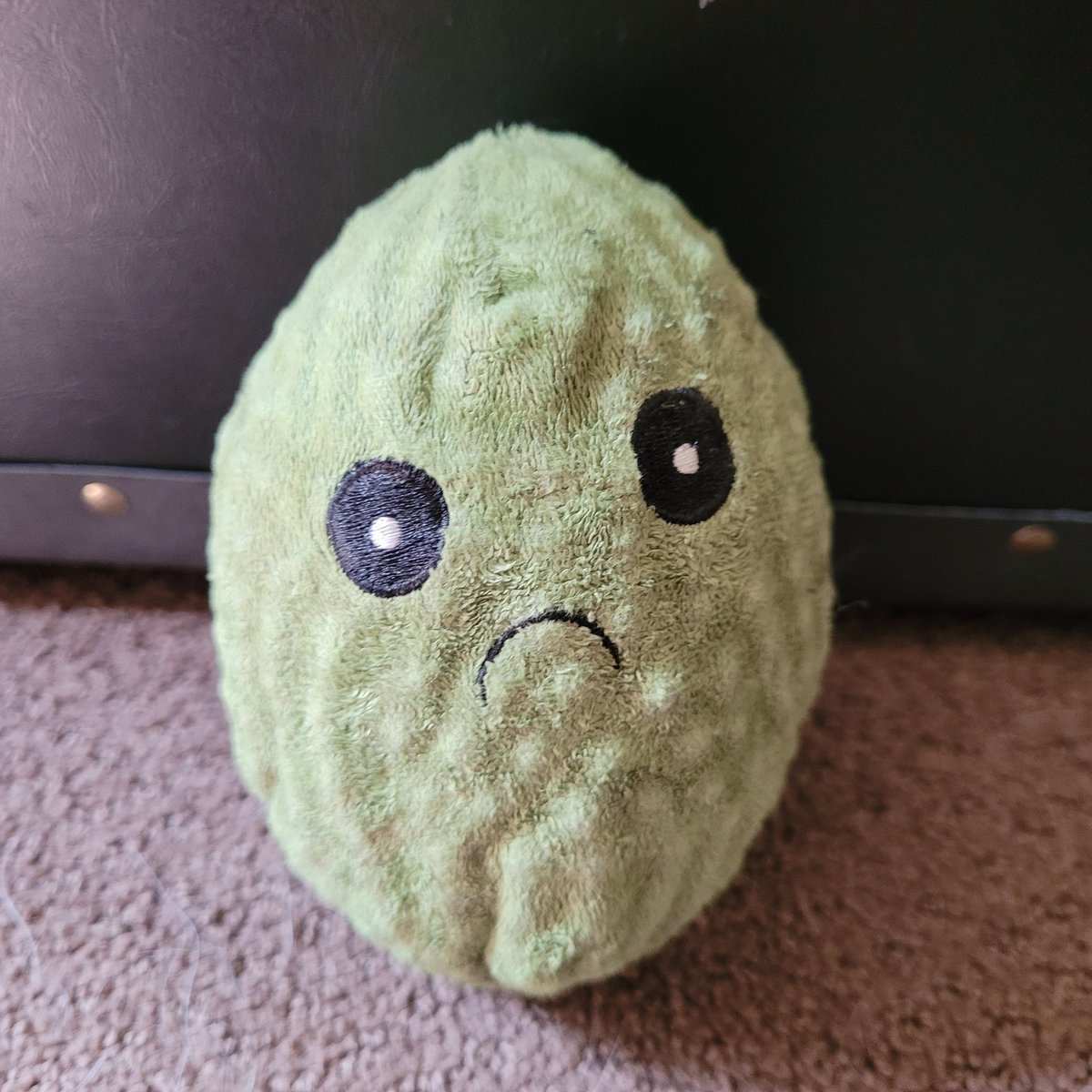 McLabKSU's tweet photo. It's time for another Microscopic Monday Wrong Answers Only! This week's photo features a particularly sad dog toy, but we want to hear your wrong answers!
#MicroscopicMonday #WrongAnswersOnly https://t.co/aJCu8Hh3oz