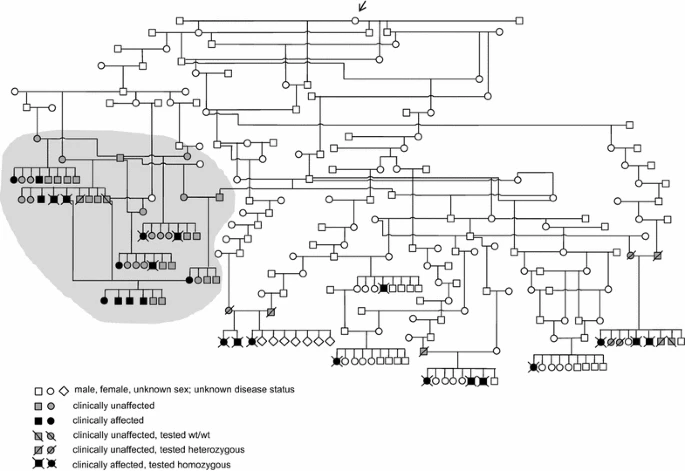 aVoice4ALS's tweet photo. When Malamutes got canine version of #ALS & #CMT, we sequenced genomes of entire litter, parents gparents; others affected & healthy unrelated dogs. We found NEW mutations
Why aren't we doing the same for 25K people w #sALS? Just worked to ID #TP73
https://t.co/C9NfOMXZzV https://t.co/HE9uGhp4iw