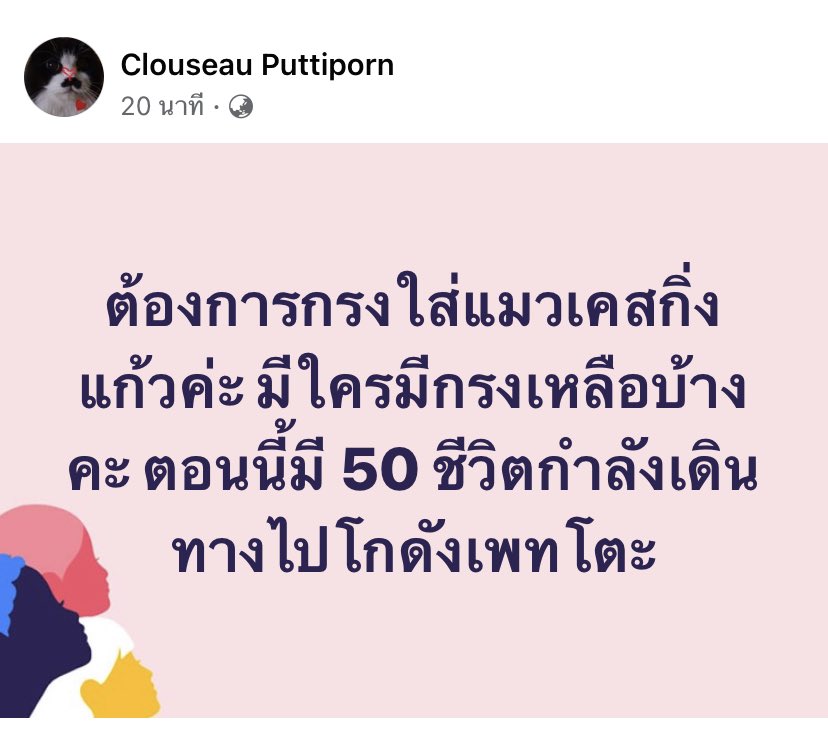 babyJK 🐰 tweet media