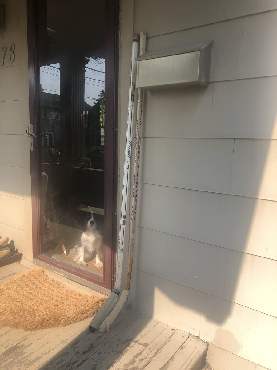 killianISO's tweet photo. #SticksOutForKivi https://t.co/YQ0Y5KYYtq